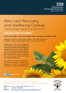 Screenshot20250728132848